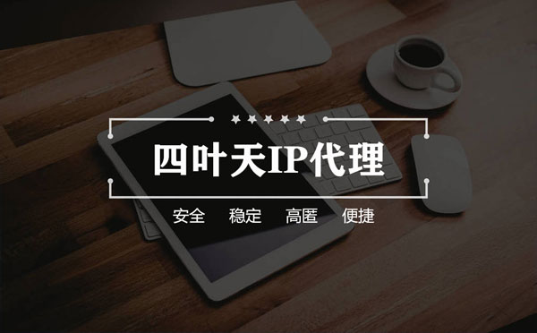 【日土代理IP】如何快速搭建代理IP？怎么检查代理的效果？