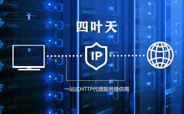 【日土代理IP】代理IP的主要用途和使用注意事项